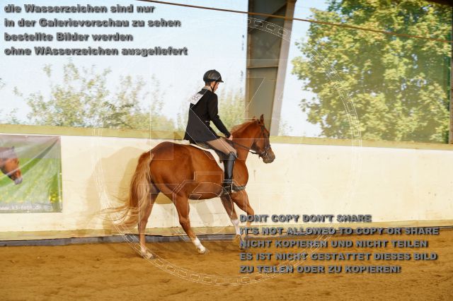 s_K3F08577.JPG